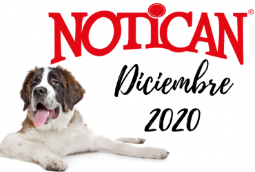 Diciembre 2020